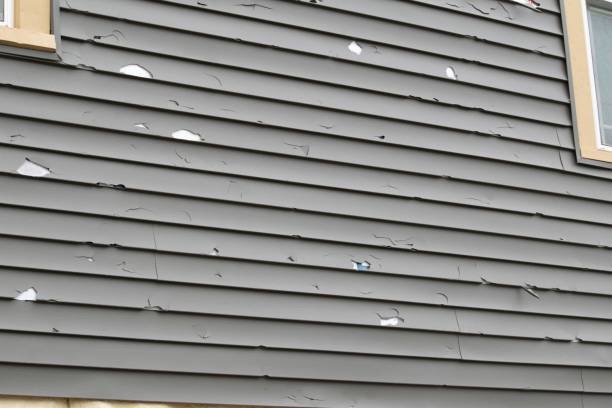 Best Vinyl Siding Installation  in Ingleside, TX