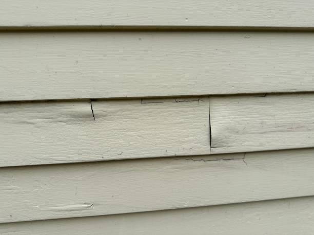 Best Siding for New Construction  in Ingleside, TX